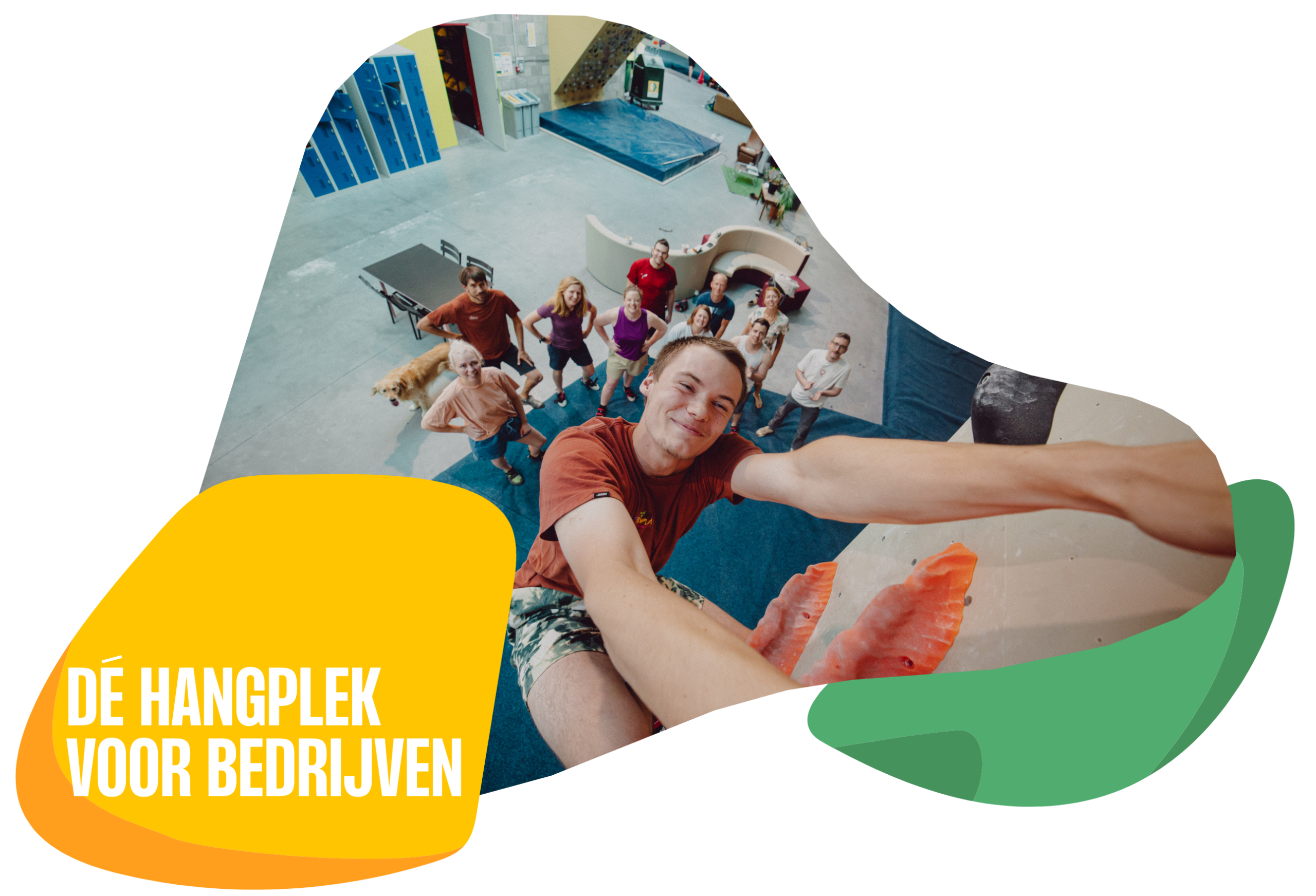 teambuilding, klimmen met je bedrijf