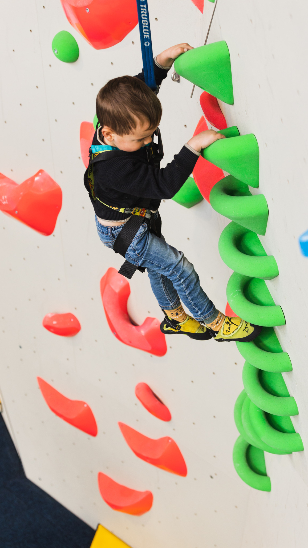 gym-kidszone-autobelay-kids-climbers-