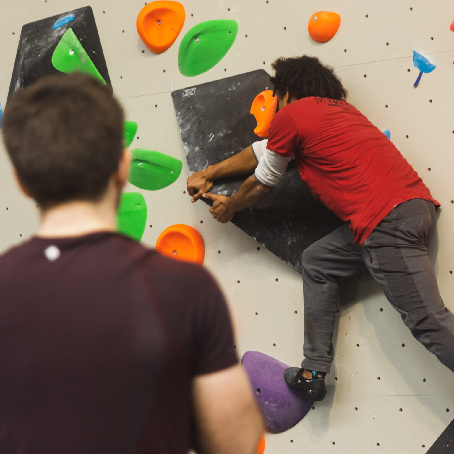 gym-boulderzone-adults-climbers-