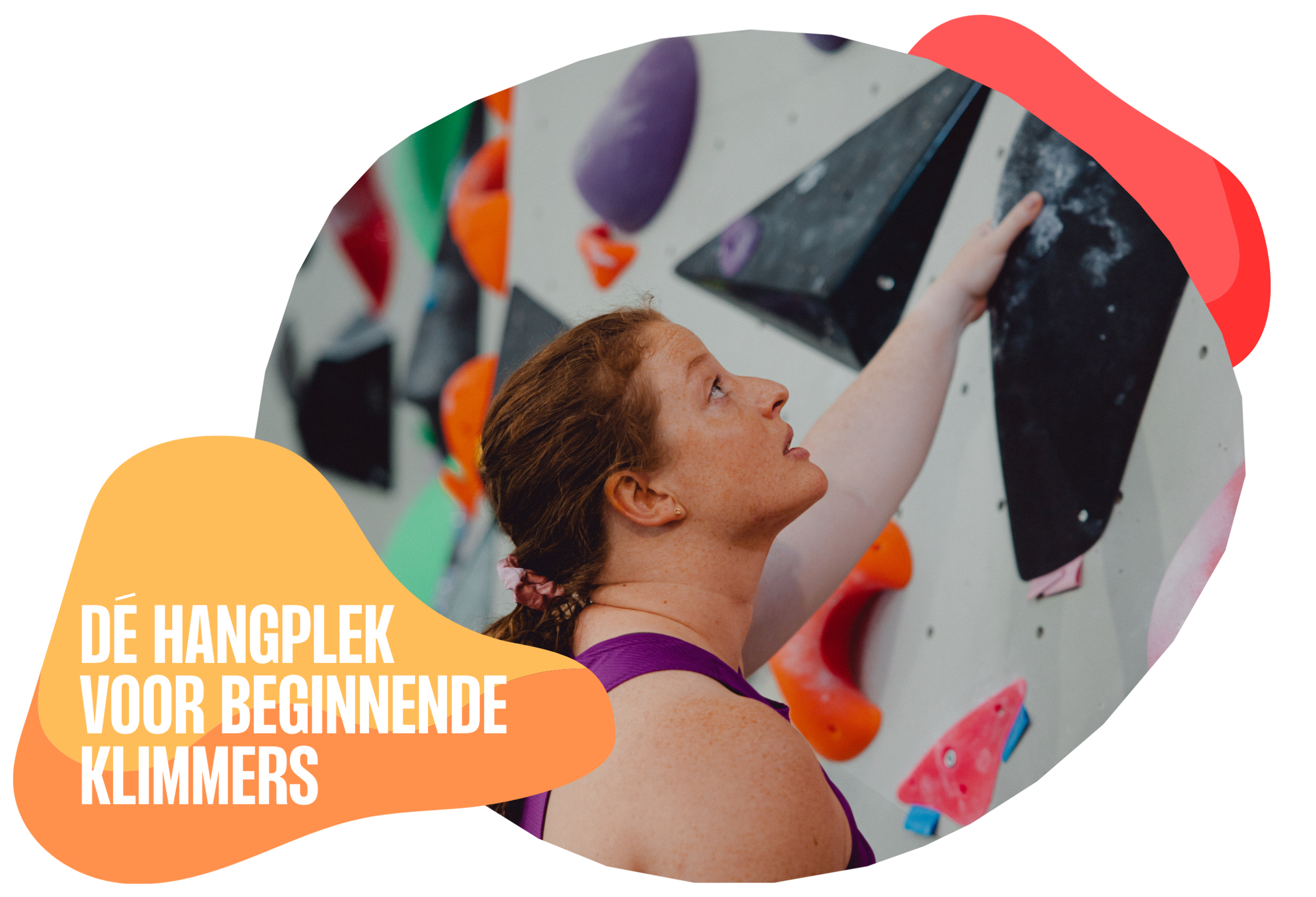 hall9 beginnende klimmer